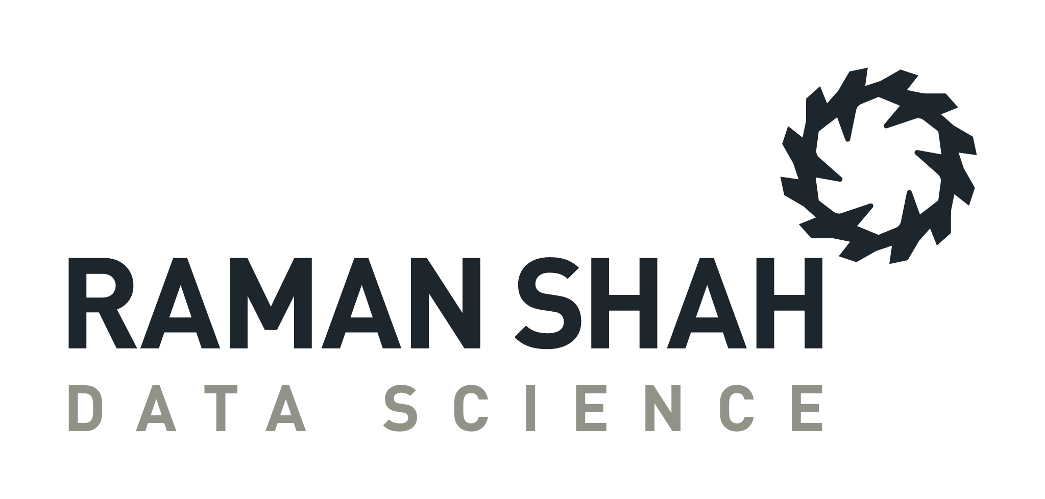 Raman Shah Data Science Logo